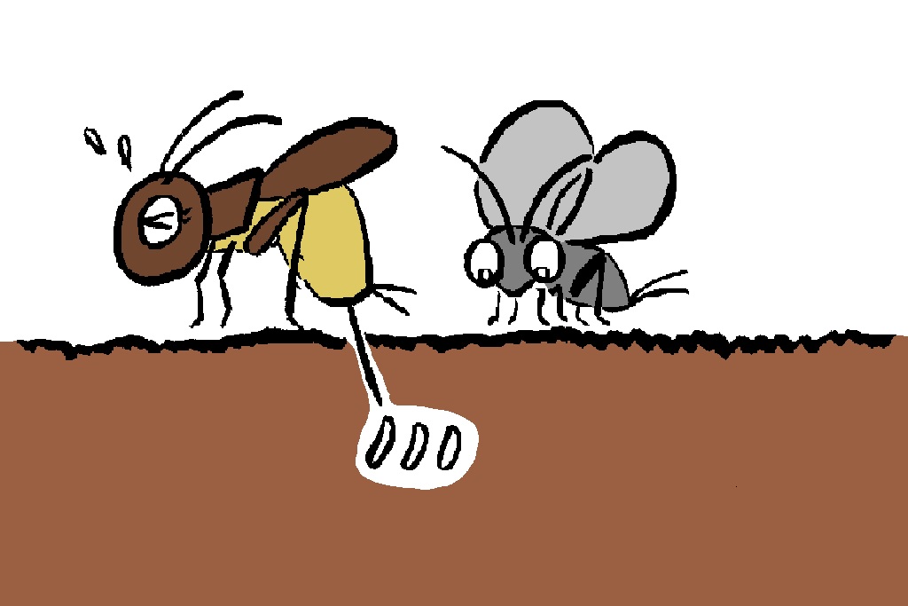 コオロギ&スズムシ