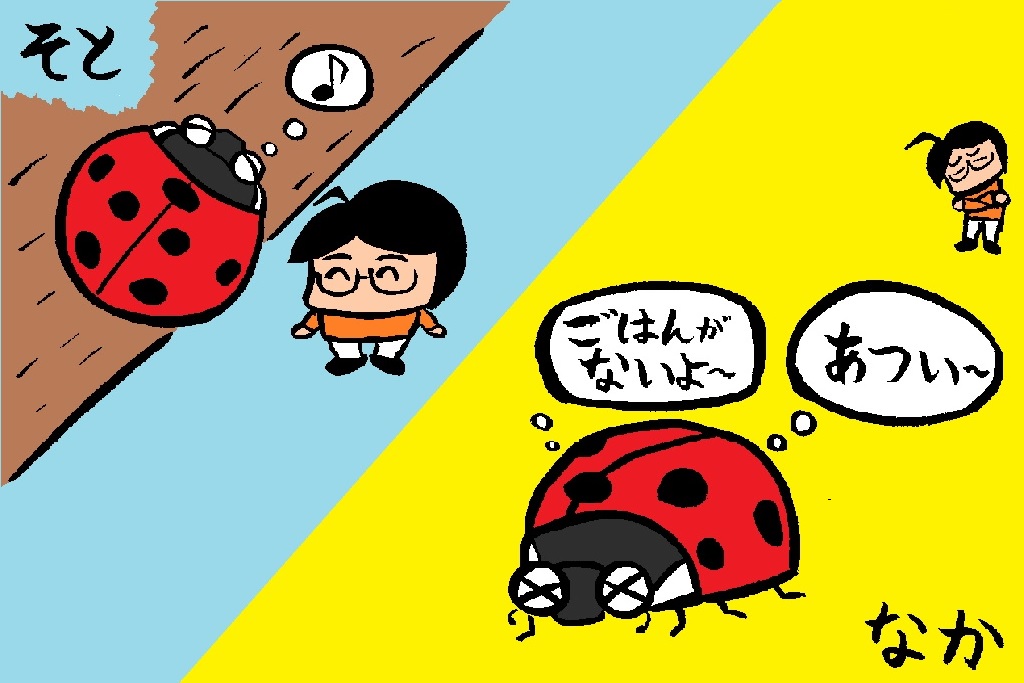 冬も昆虫採集や昆虫観察はできるの?