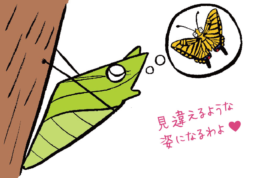 アゲハチョウの幼虫