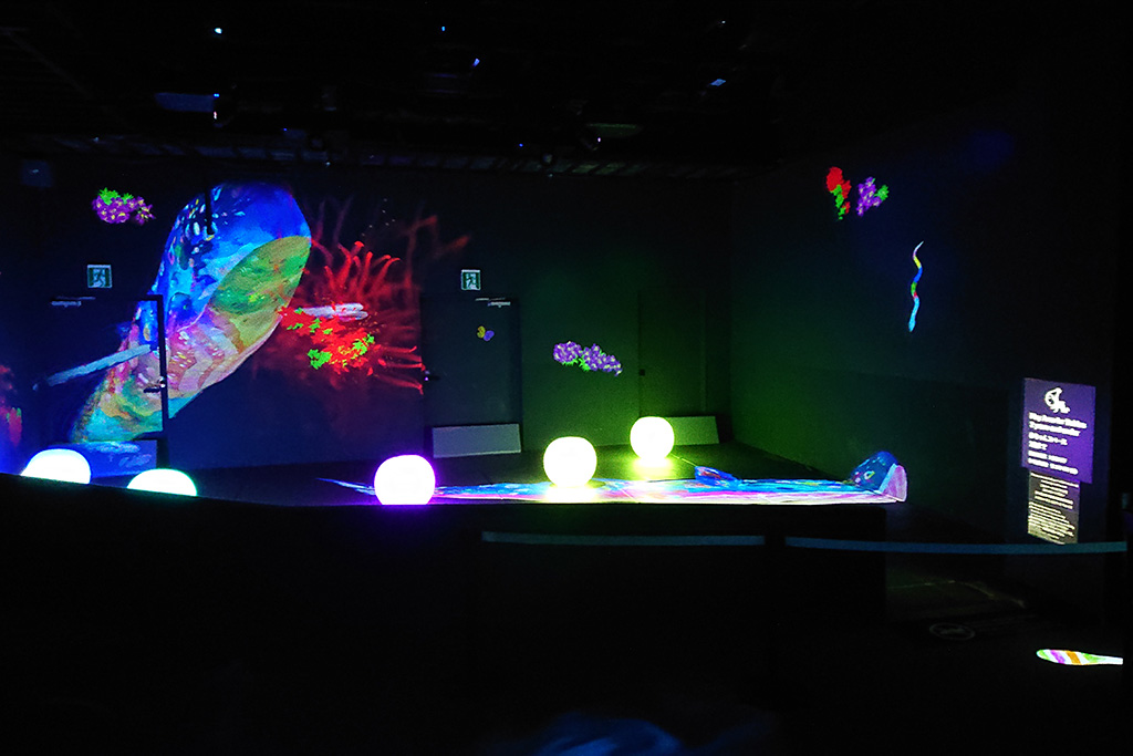 赤ちゃんスペース/チームラボボーダレス(東京都/お台場)