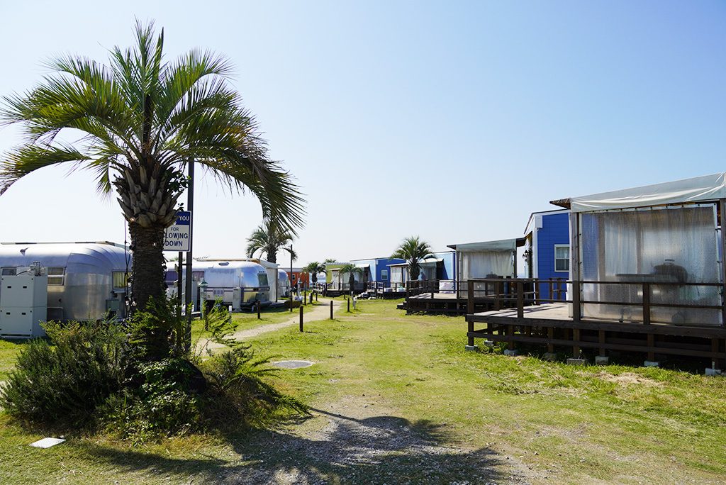 パームガーデン舞洲（大阪府/大阪市）