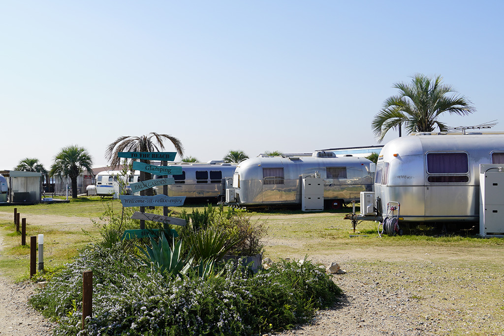 パームガーデン舞洲（大阪府/大阪市）