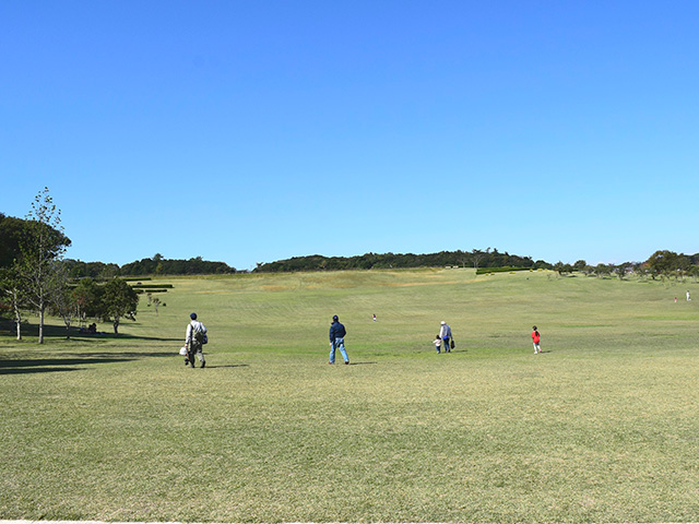 芝生広場/ニジゲンノモリ（兵庫県/淡路市）
