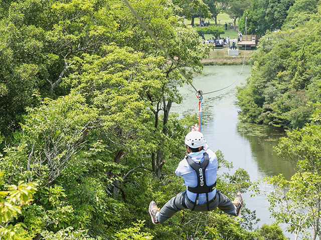 ジップラインの様子/ニジゲンノモリ（兵庫県/淡路市）