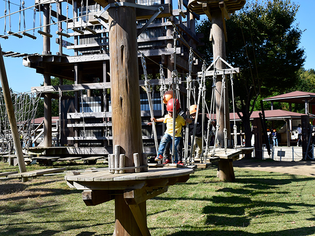 アスレチック「童コース」/ニジゲンノモリ（兵庫県/淡路市）