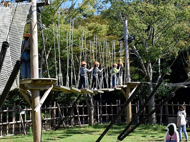 アスレチック「もののけニンジャコース」/ニジゲンノモリ（兵庫県/淡路市）