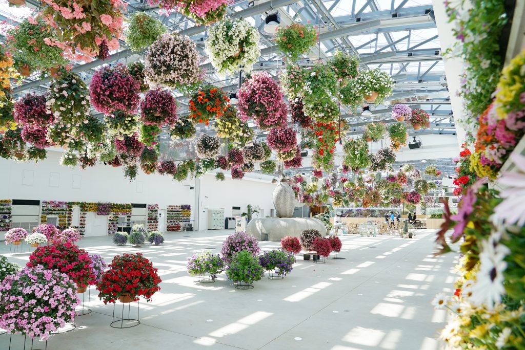 よみうりランド隣にあるHANA・BIYORIは新感覚のフラワーパーク！コツメカワウソにも会える