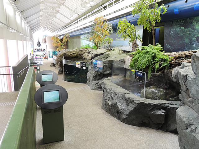 開放的なアトリウム空間/アクアワールド茨城県大洗水族館（大洗町）