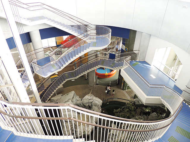 アクアワールド茨城県大洗水族館の館内（大洗町）