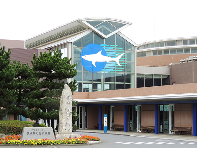 サメをモチーフにしたロゴマーク/アクアワールド茨城県大洗水族館（大洗町）