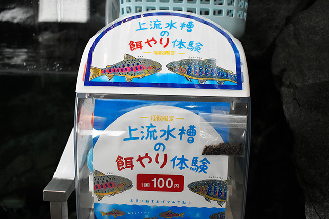 上流水槽の餌やり体験/アクアワールド茨城県大洗水族館（大洗町）