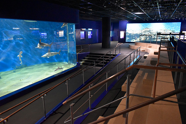 水槽近くのスロープ/アクアワールド茨城県大洗水族館（大洗町）