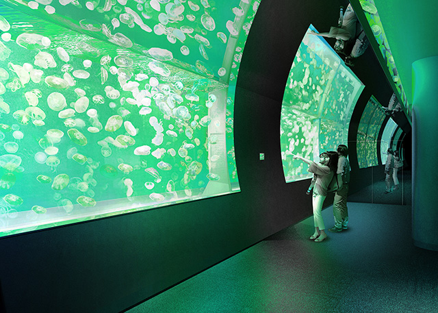 クラゲ大水槽/アクアワールド茨城県大洗水族館（大洗町）