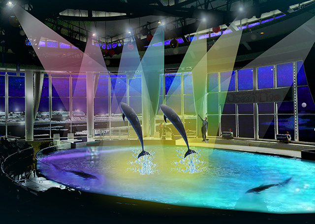 イルカとアシカのショーの様子/アクアワールド茨城県大洗水族館（大洗町）