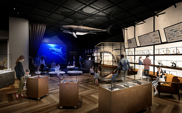 ミュージアムゾーン/アクアワールド茨城県大洗水族館（大洗町）