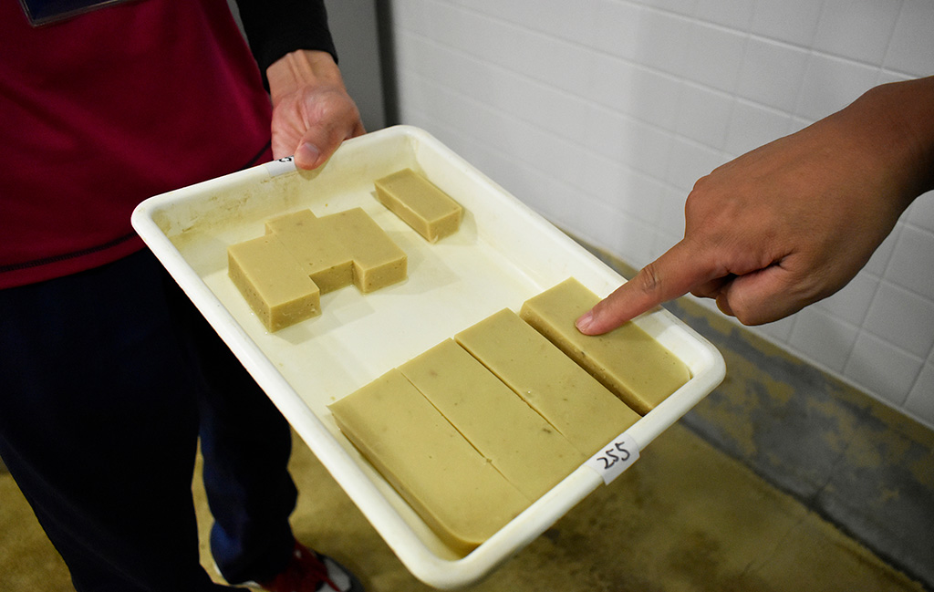 マンボウのエサ/アクアワールド茨城県大洗水族館（茨城県／大洗町）