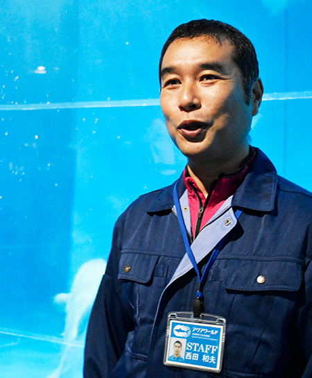 魚類展示課係長の西田さん/アクアワールド茨城県大洗水族館（茨城県／大洗町）