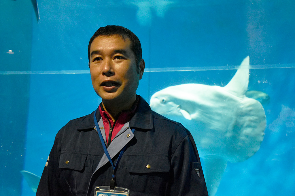 魚類展示課係長の西田さん/アクアワールド茨城県大洗水族館（茨城県／大洗町）