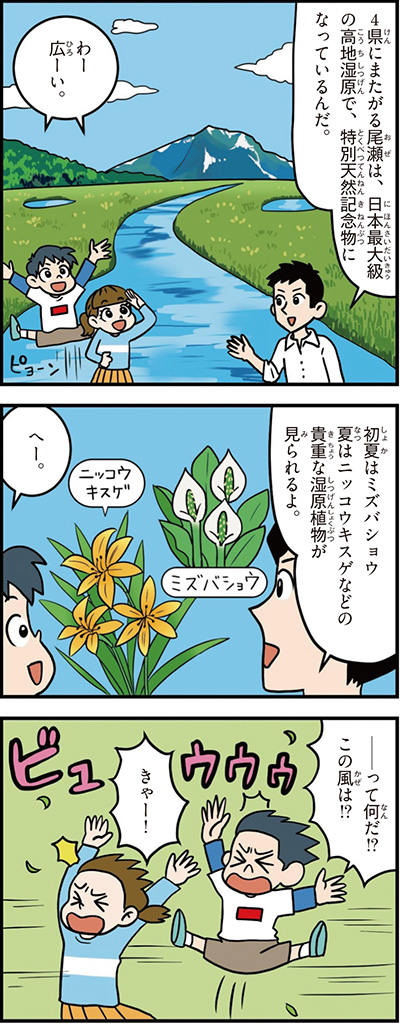 群馬県の特徴マンガ1／尾瀬、日本最大級の高地湿原、ミズバショウ、ニッコウキスゲ