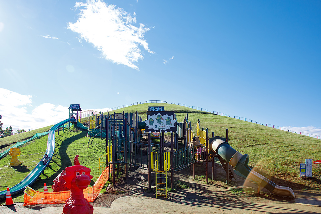 龍ヶ岡公園（茨城県/龍ヶ崎市）