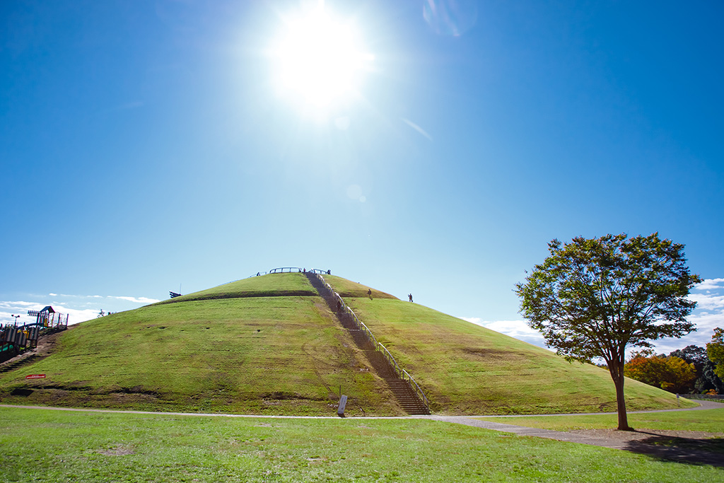 龍ヶ岡公園の中心にあるたつのこやま（茨城県/龍ヶ崎市）