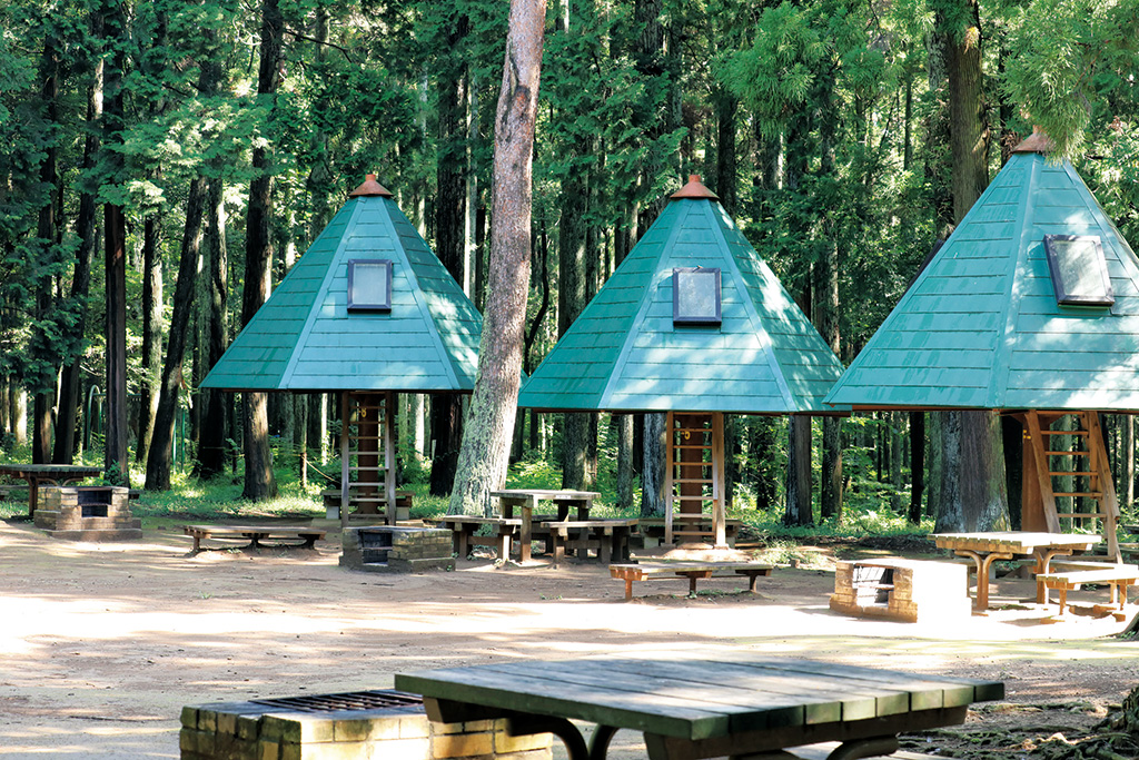 龍ケ崎市森林公園（茨城県/龍ヶ崎市）