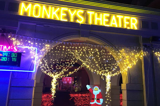 神戸イルミナージュ「HIKARIのモンキーショー」/道の駅 神戸フルーツ・フラワーパーク大沢(兵庫県)