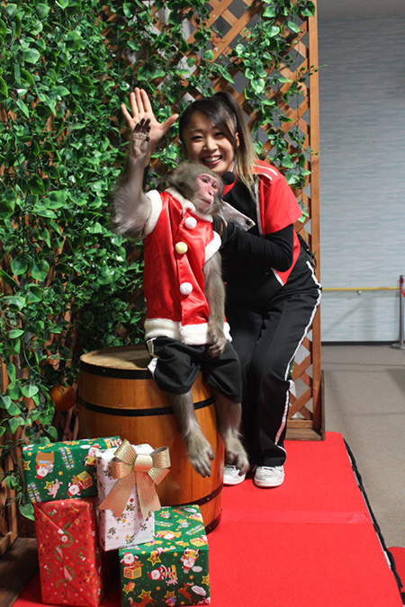 神戸イルミナージュ「HIKARIのモンキーショー」/道の駅 神戸フルーツ・フラワーパーク大沢(兵庫県)