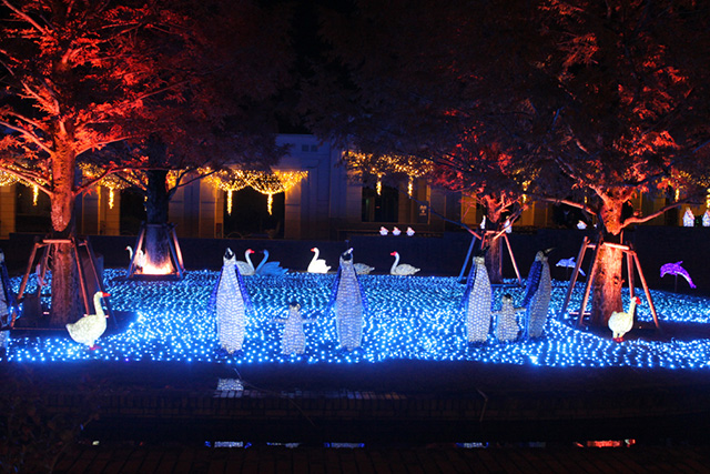 神戸イルミナージュ「HIKARIのトロピカルフィッシュ」/道の駅 神戸フルーツ・フラワーパーク大沢(兵庫県)
