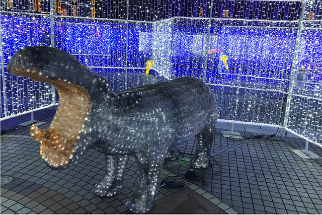 神戸イルミナージュ「光のアニマル巨大迷路」カバのイルミ/道の駅 神戸フルーツ・フラワーパーク大沢(兵庫県)