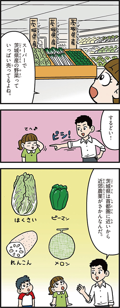 茨城県の特徴マンガ1/近郊農業がさかん、はくさい、ピーマン、れんこん、メロン