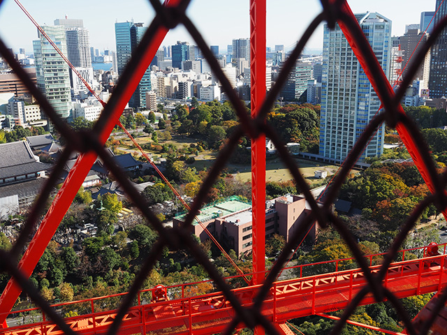 外階段からの眺め/東京タワー(東京都/港区)