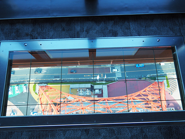 スカイウォークウィンドウ/東京タワー(東京都/港区)