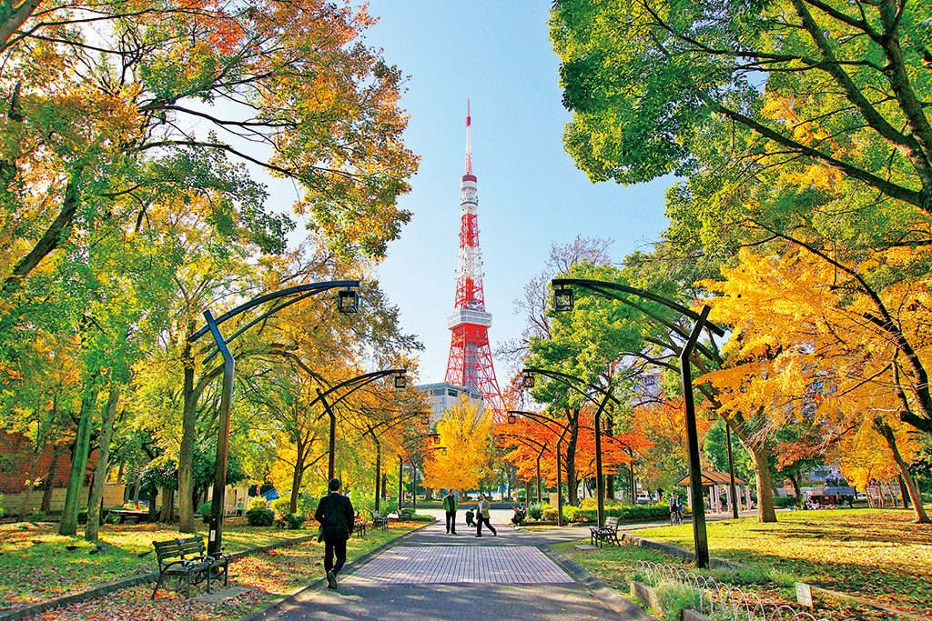 紅葉と東京タワー/都立芝公園（東京都/港区）