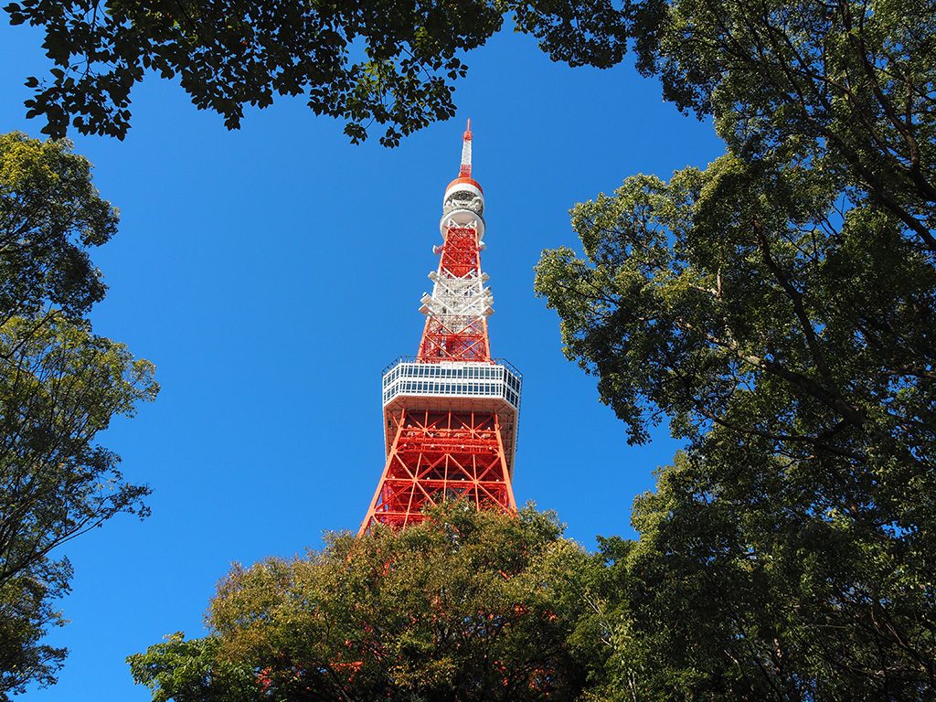 都立芝公園から見える東京タワー（東京都/港区）