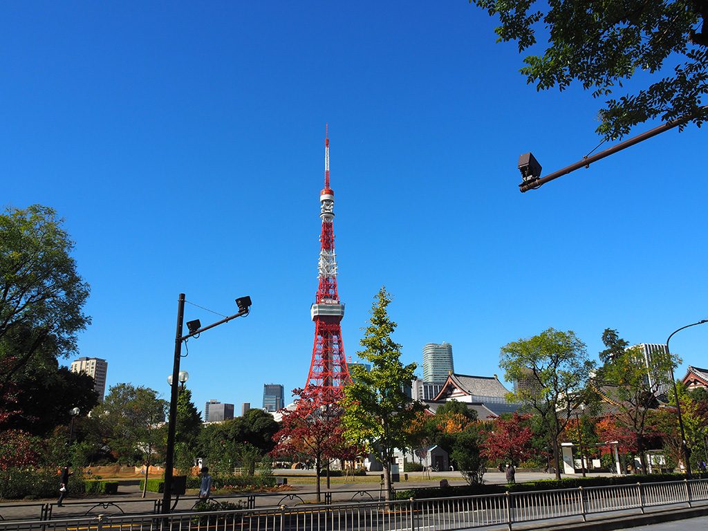 都立芝公園から見える東京タワーと増上寺（東京都/港区）