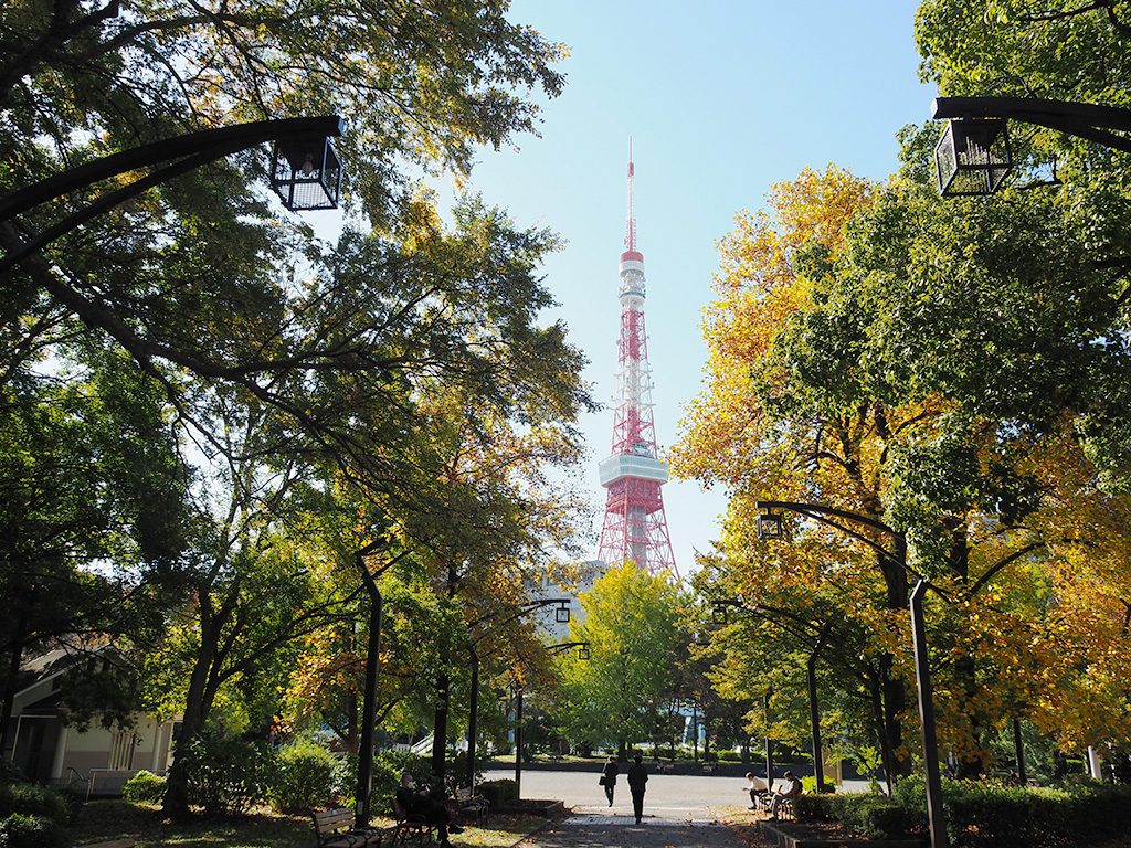 4号地の児童遊園の並木道と東京タワー/都立芝公園（東京都/港区）