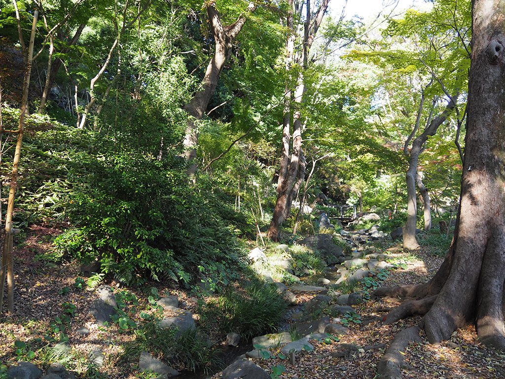 自然豊かなエリア/都立芝公園（東京都/港区）