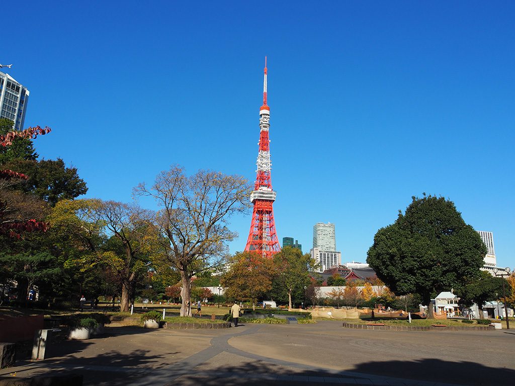 都立芝公園から見える東京タワー（東京都/港区）