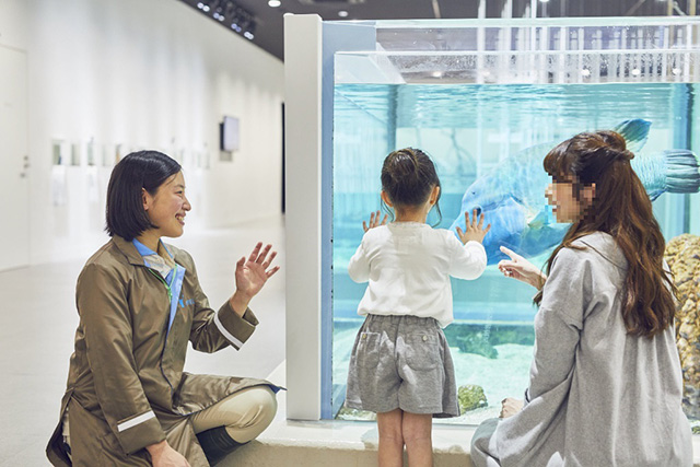 NIFREL（ニフレル）（大阪府/吹田市）