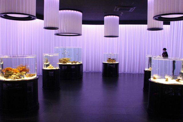 “いろ”にふれるゾーン/NIFREL（ニフレル）（大阪府/吹田市）