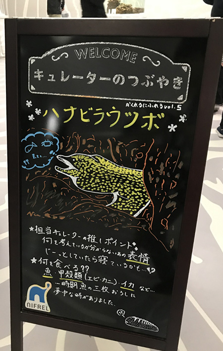 見どころやメッセージが描かれたボード/NIFREL（ニフレル）（大阪府/吹田市）