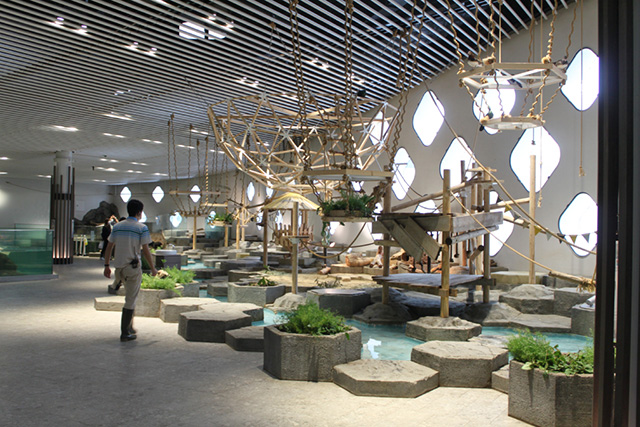 “うごき”にふれるゾーン/NIFREL（ニフレル）（大阪府/吹田市）