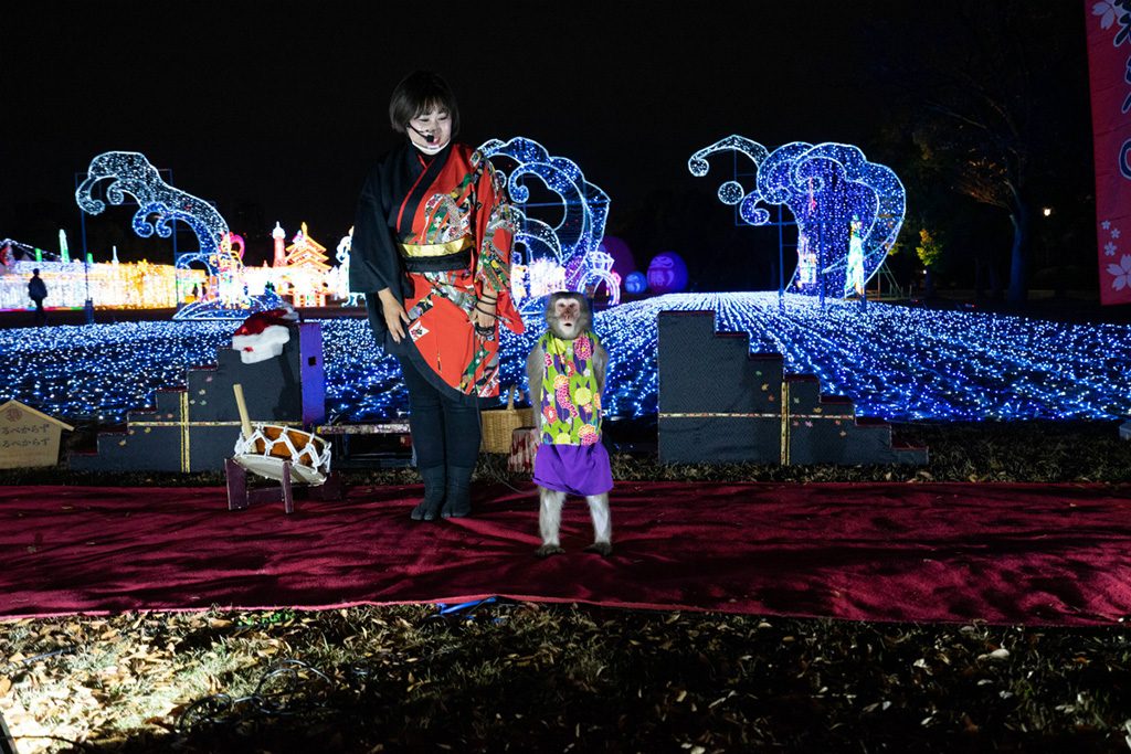 ニホンザルのショー/大阪城イルミナージュ（大阪市/中央区）