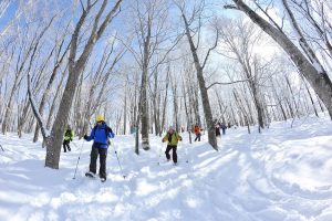 ファミリーやペット連れにも!白馬岩岳スノーフィールドの山頂に「IWATAKE WHITE PARK」登場