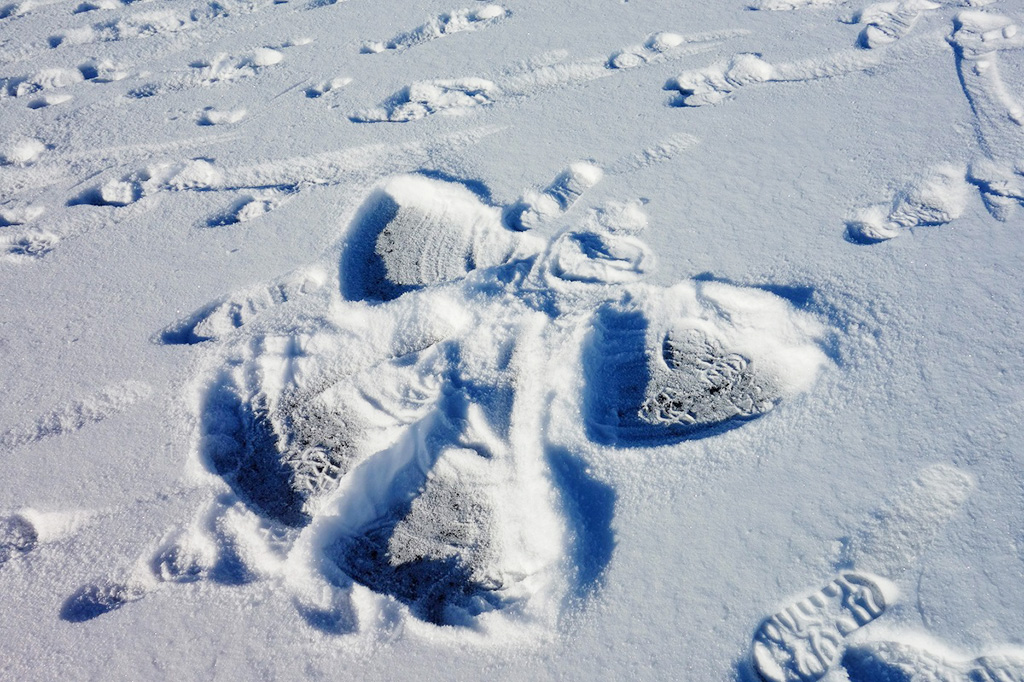 IWATAKE WHITE PARK：スノーエンジェル/白馬岩岳スノーフィールド(長野県/白馬村)