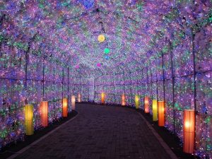 北海道のイルミネーション11選（2025-2026冬）無料の公園や市街地が子連れにおすすめ