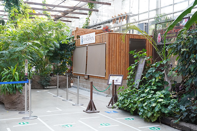 スナネコの展示場/神戸どうぶつ王国（兵庫県/神戸市）