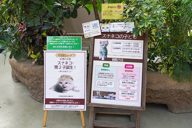 スナネコの展示場案内板/神戸どうぶつ王国（兵庫県/神戸市）