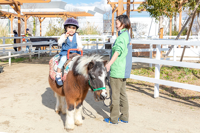 ポニーライドの様子/神戸どうぶつ王国（兵庫県/神戸市）